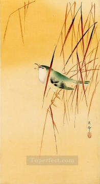150の主題の芸術作品 Painting - 葦の鳴き鳥 大原古邨の鳥